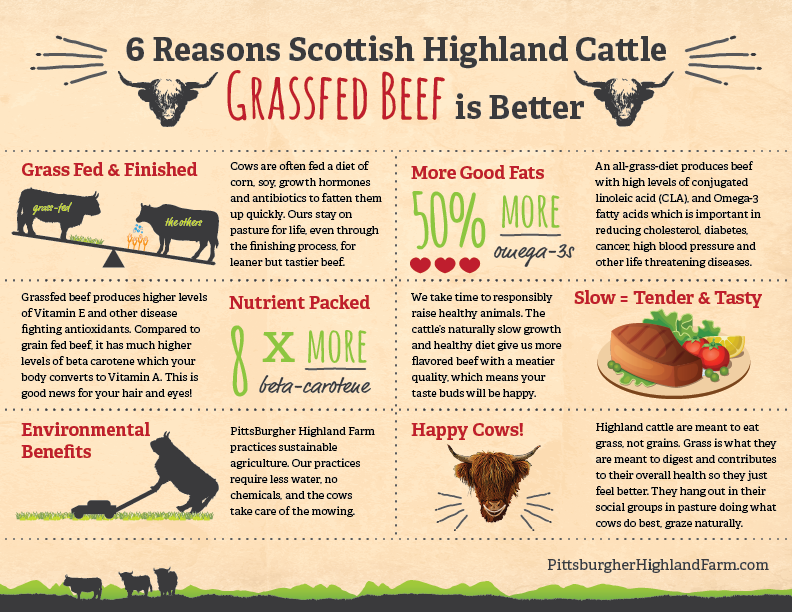 6 Reasons Grassfed Beef is Better